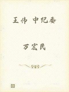 王伟 中纪委